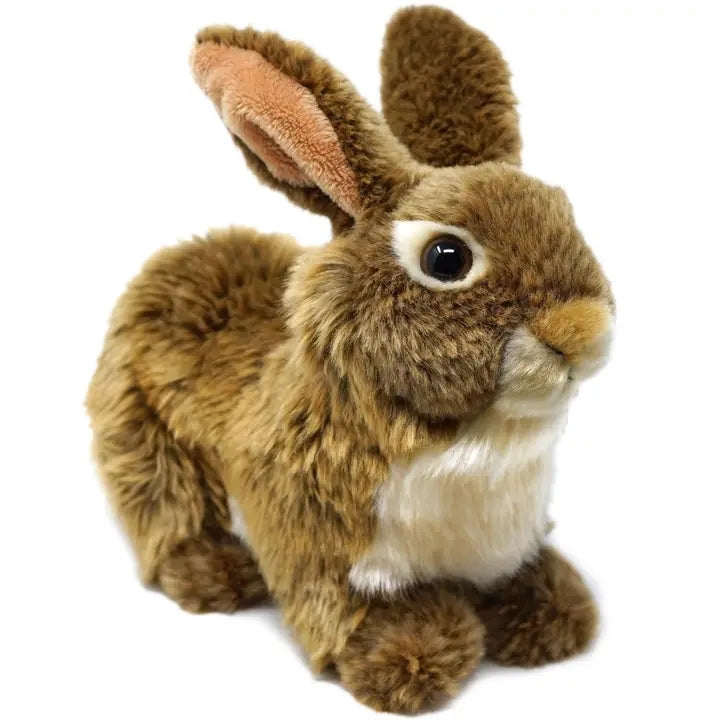 BRIGID THE BROWN RABBIT
