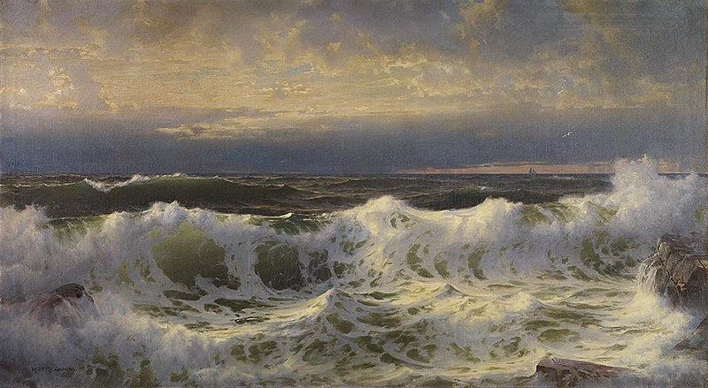 ALONG THE SHORE