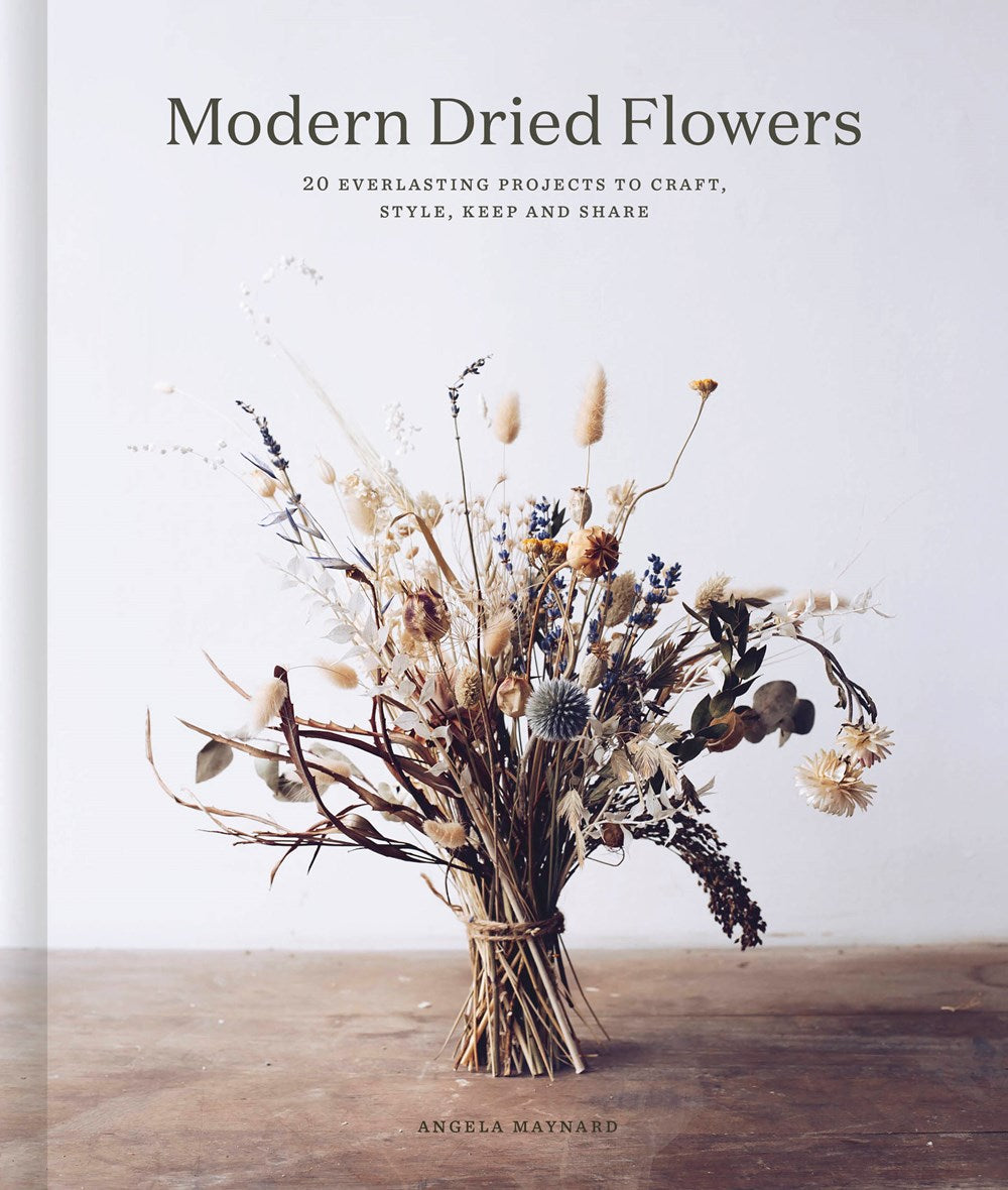 MODERN DRIED FLOWERS
