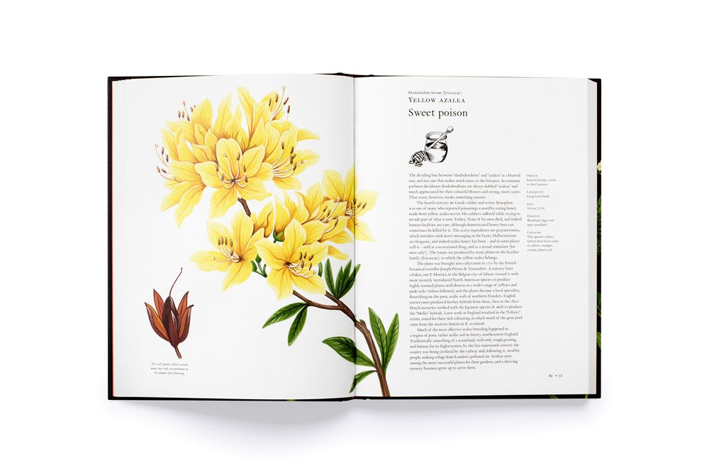 THE STORY OF FLOWERS: AND HOW THEY CHANGED THE WAY WE LIVE
