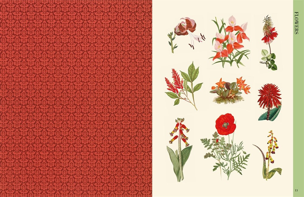 BOTANICAL ART TO CUT OUT AND COLLAGE: OVER 500 BOTANICAL ILLUSTRATIONS TO INSPIRE CREATIVITY