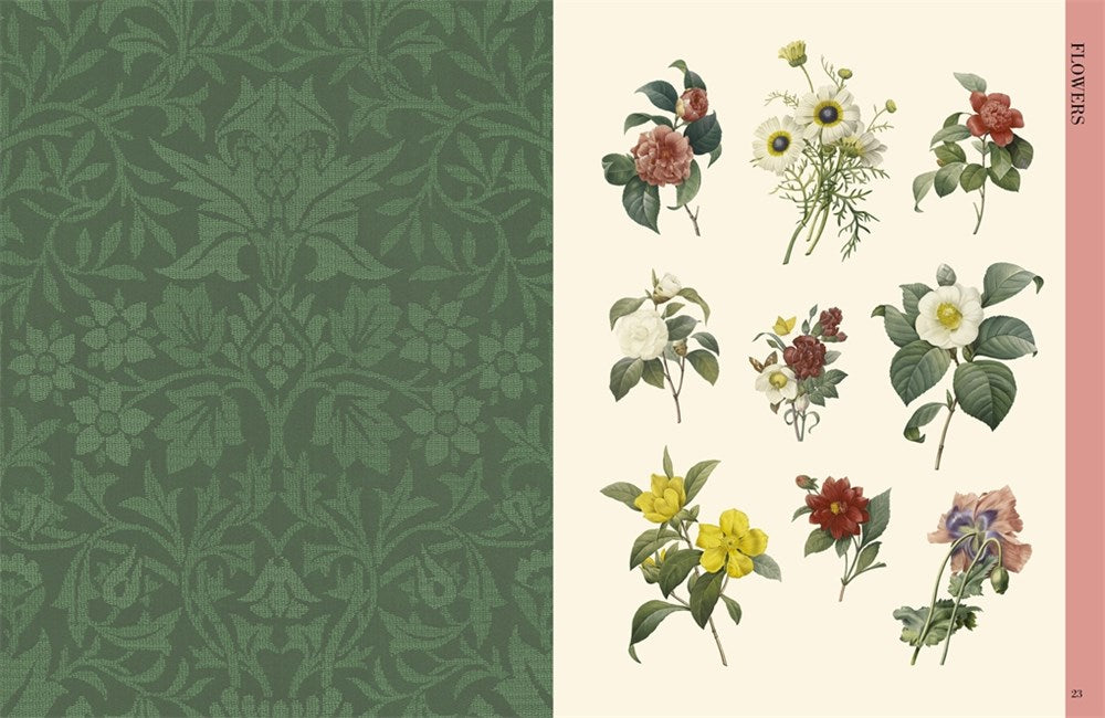 BOTANICAL ART TO CUT OUT AND COLLAGE: OVER 500 BOTANICAL ILLUSTRATIONS TO INSPIRE CREATIVITY