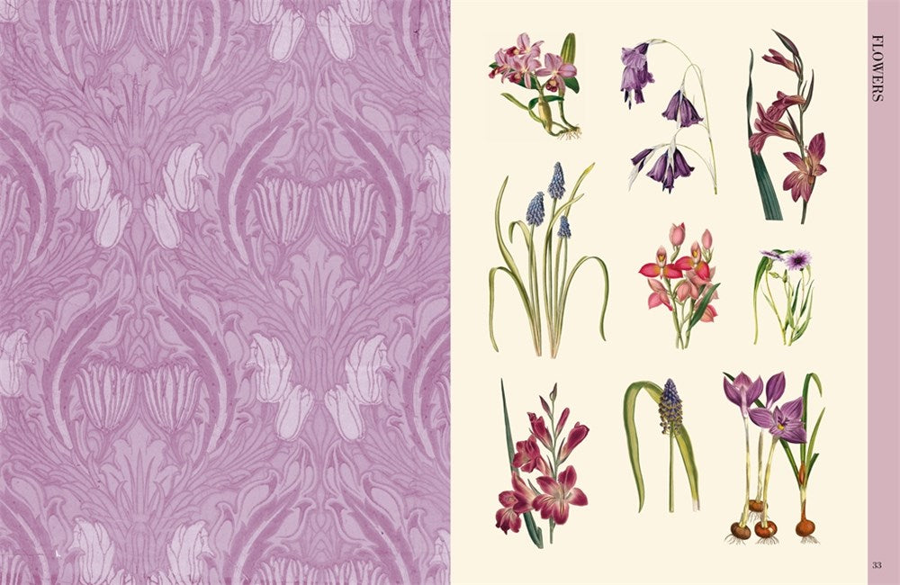 BOTANICAL ART TO CUT OUT AND COLLAGE: OVER 500 BOTANICAL ILLUSTRATIONS TO INSPIRE CREATIVITY