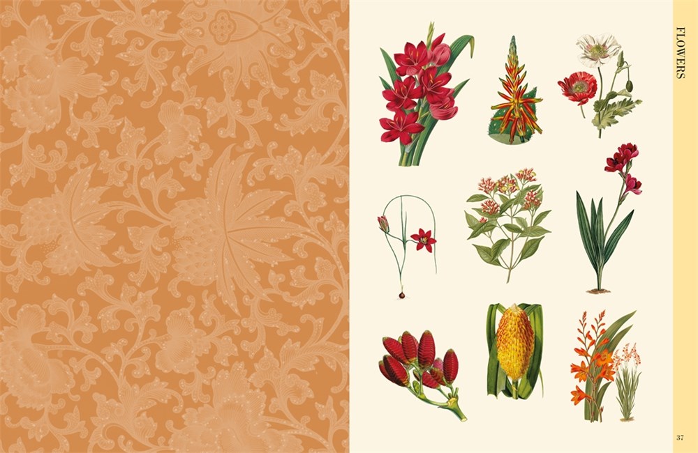 BOTANICAL ART TO CUT OUT AND COLLAGE: OVER 500 BOTANICAL ILLUSTRATIONS TO INSPIRE CREATIVITY