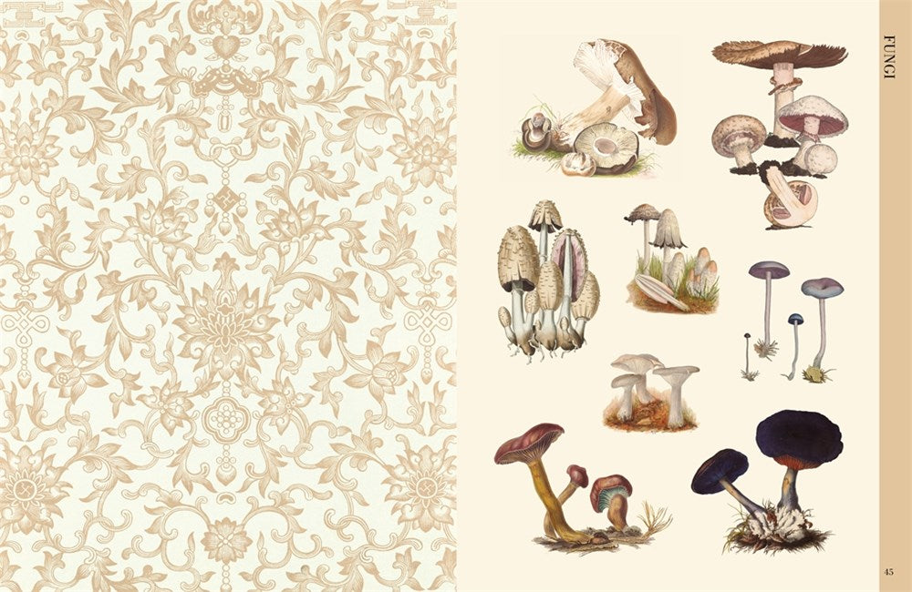 BOTANICAL ART TO CUT OUT AND COLLAGE: OVER 500 BOTANICAL ILLUSTRATIONS TO INSPIRE CREATIVITY