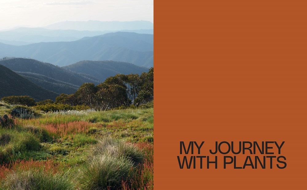 WITH NATURE: THE LANDSCAPES OF FIONA BROCKHOFF