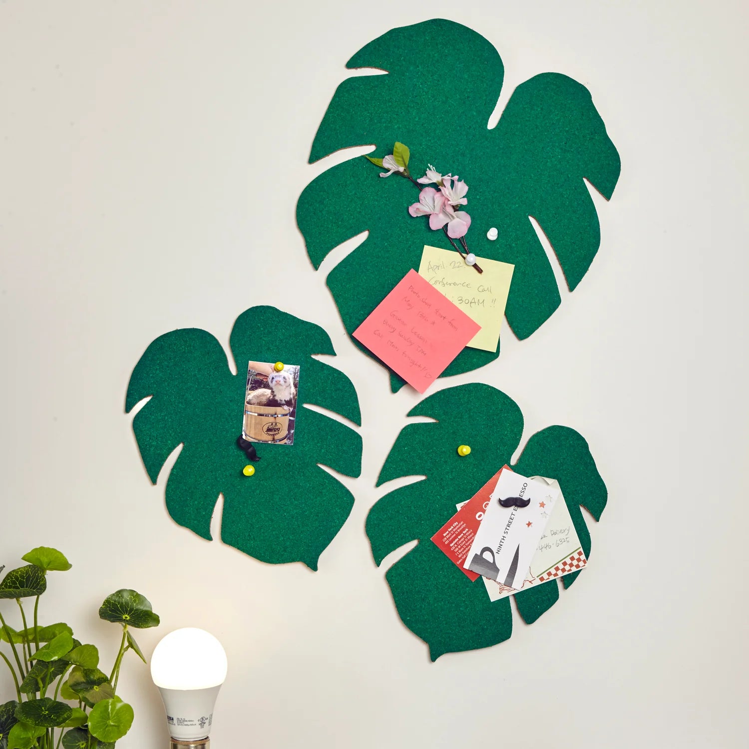 MONSTERA LEAF CORK BOARD