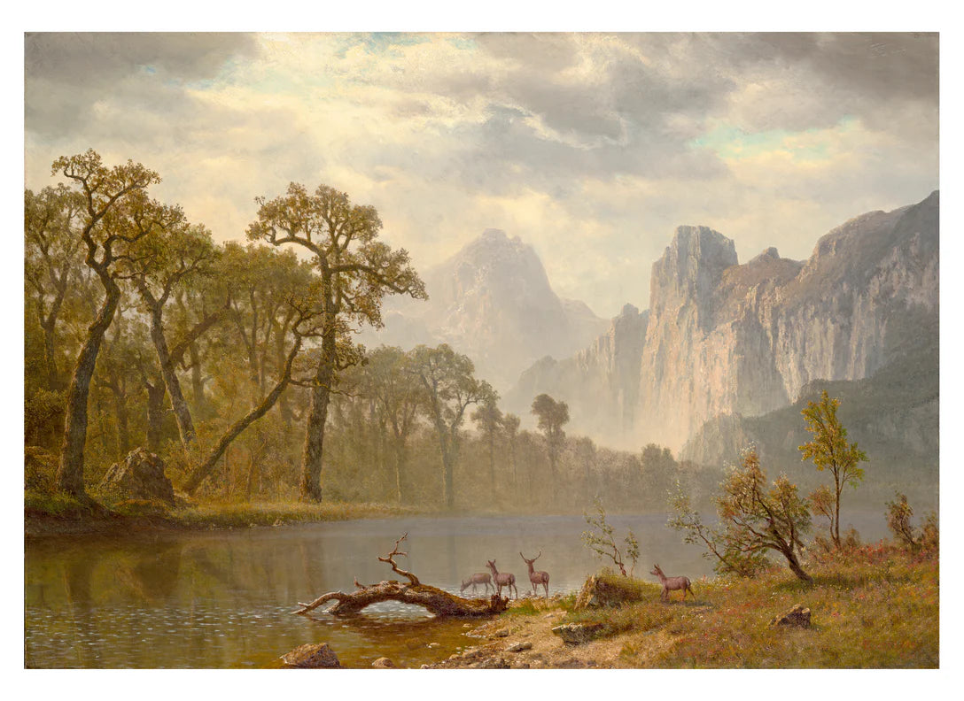 HUDSON RIVER SCHOOL PAINTINGS BOOK OF POSTCARDS