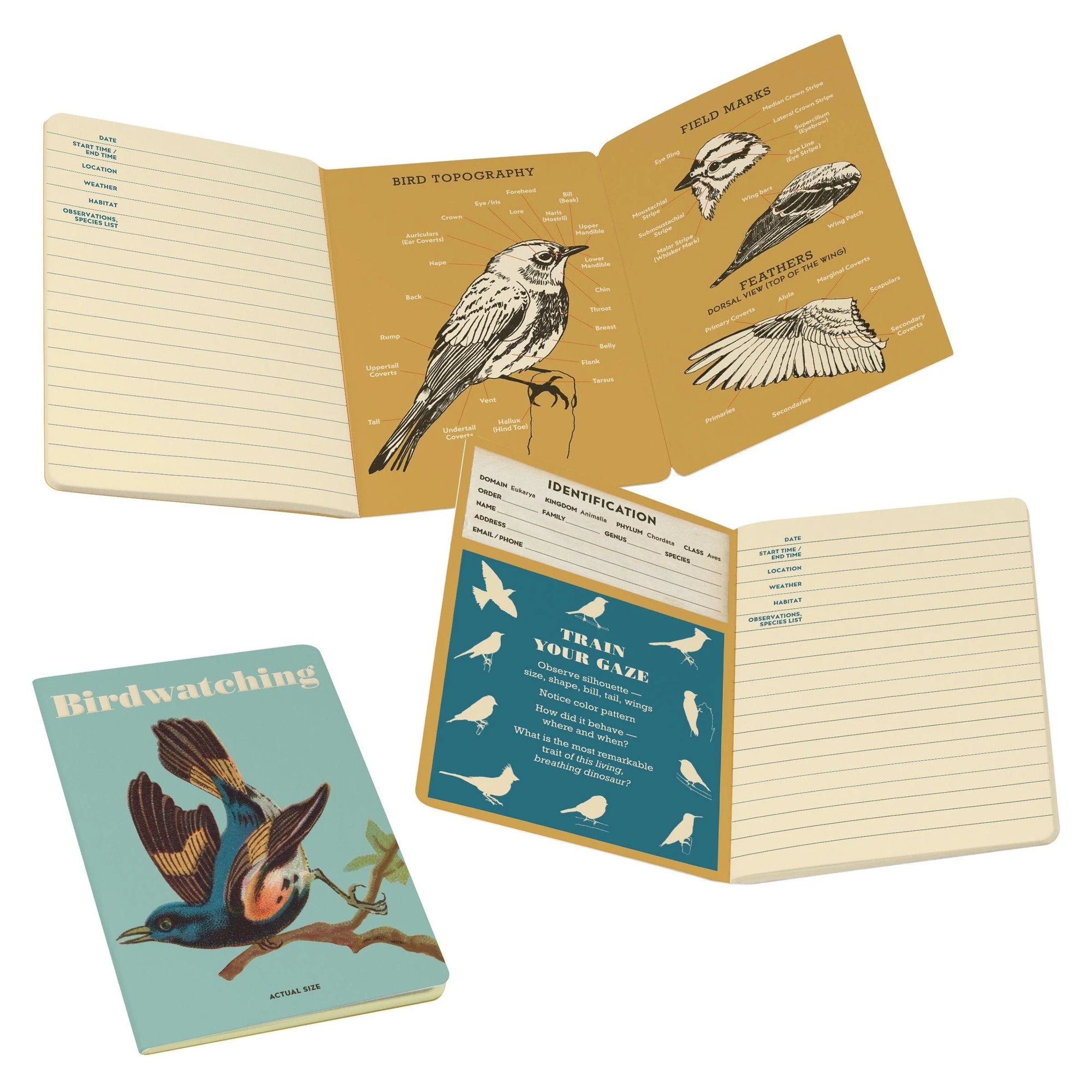 BIRDWATCHING NOTEBOOK