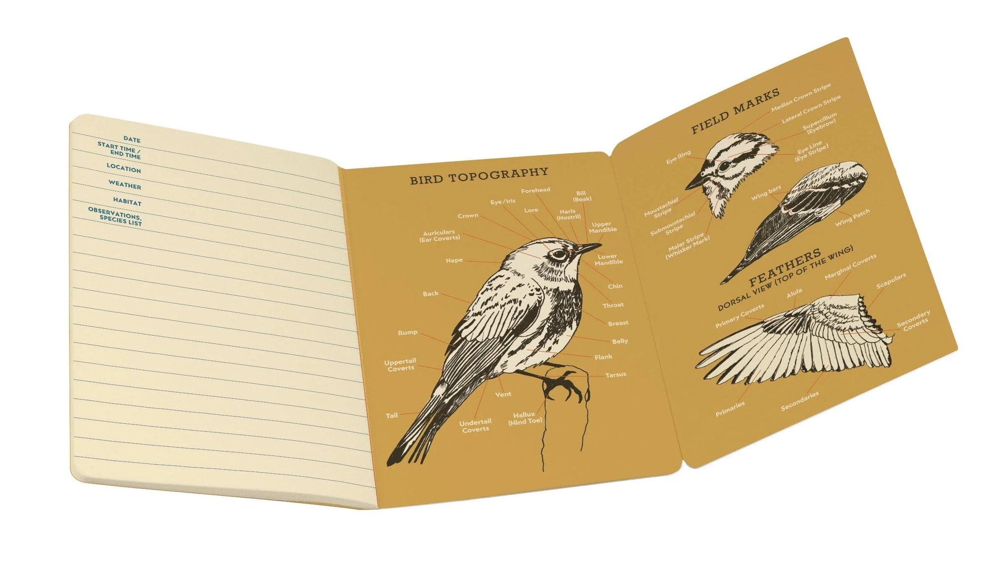 BIRDWATCHING NOTEBOOK