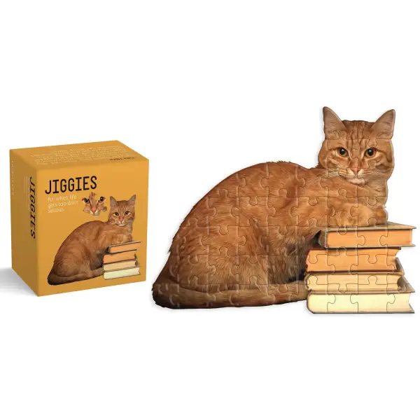 CAT READER JIGGIE PUZZLE