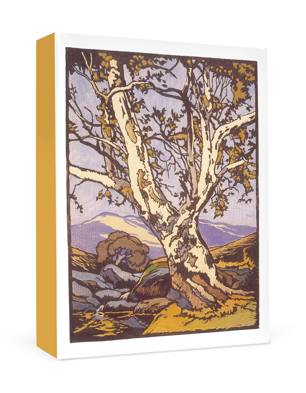 WILLIAM S. RICE: WESTERN SYCAMORE BOXED THANK YOU NOTECARDS