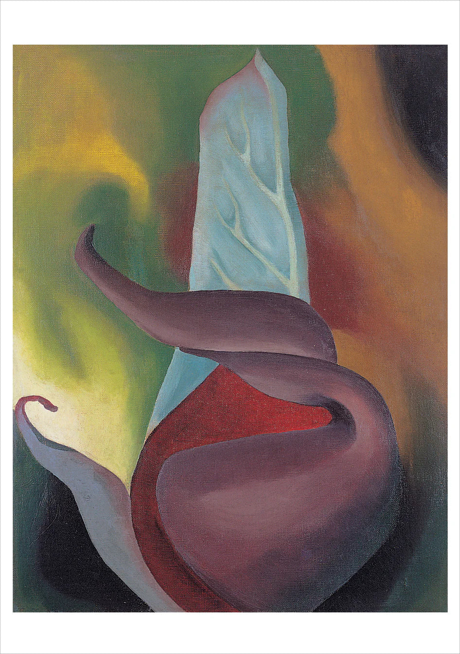 GEORGIA O'KEEFFE BOXED NOTECARDS