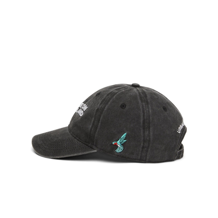 YOU ARE ON NATIVE LAND DAD CAP