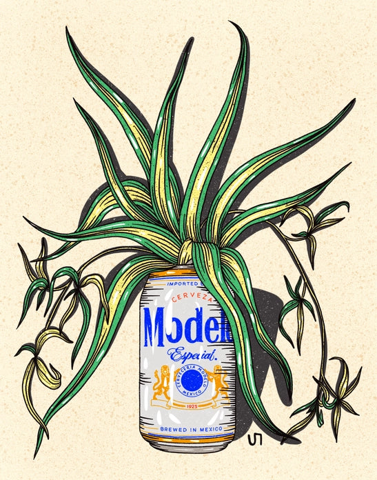 MODELO BEER CAN PRINT