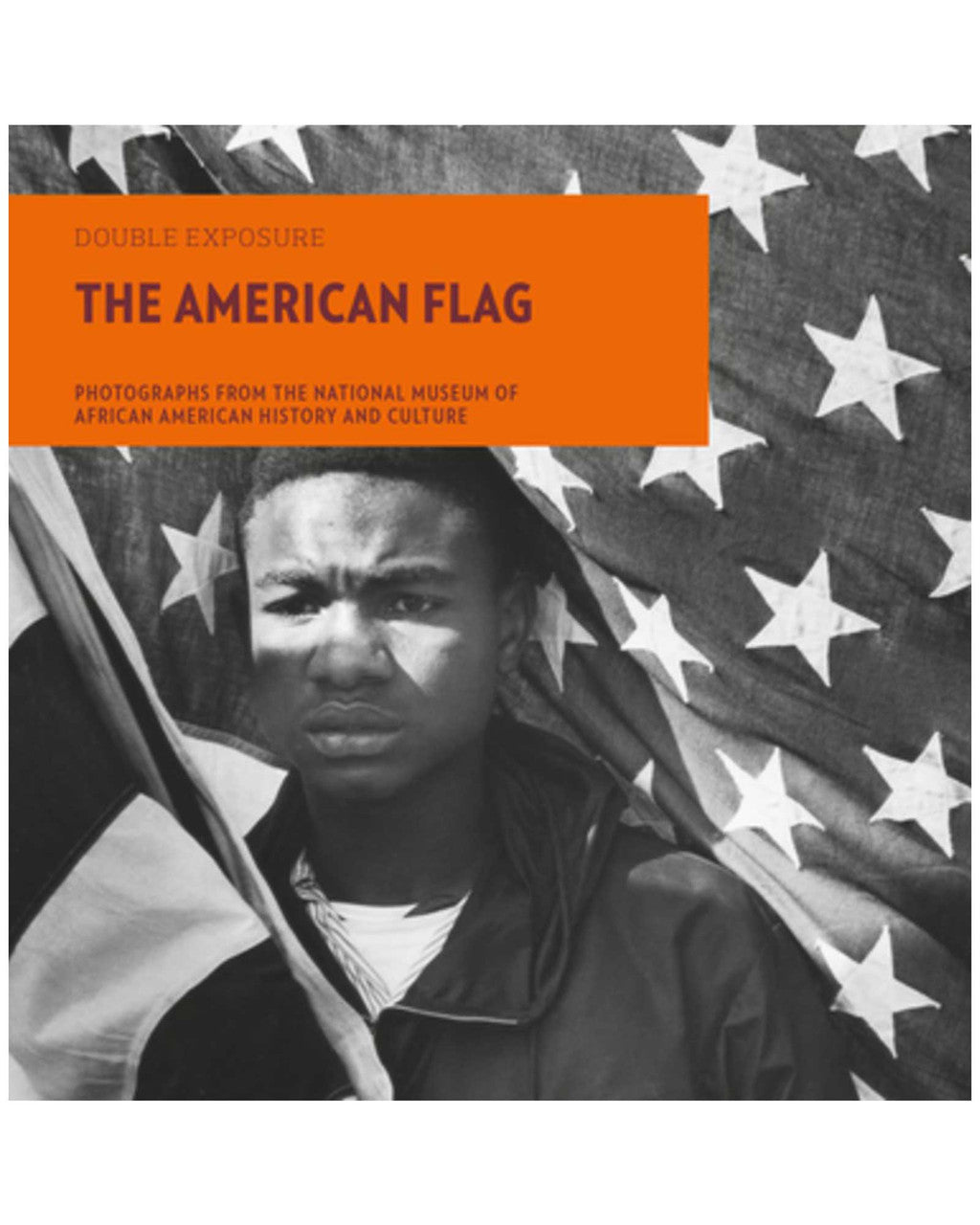 THE AMERICAN FLAG