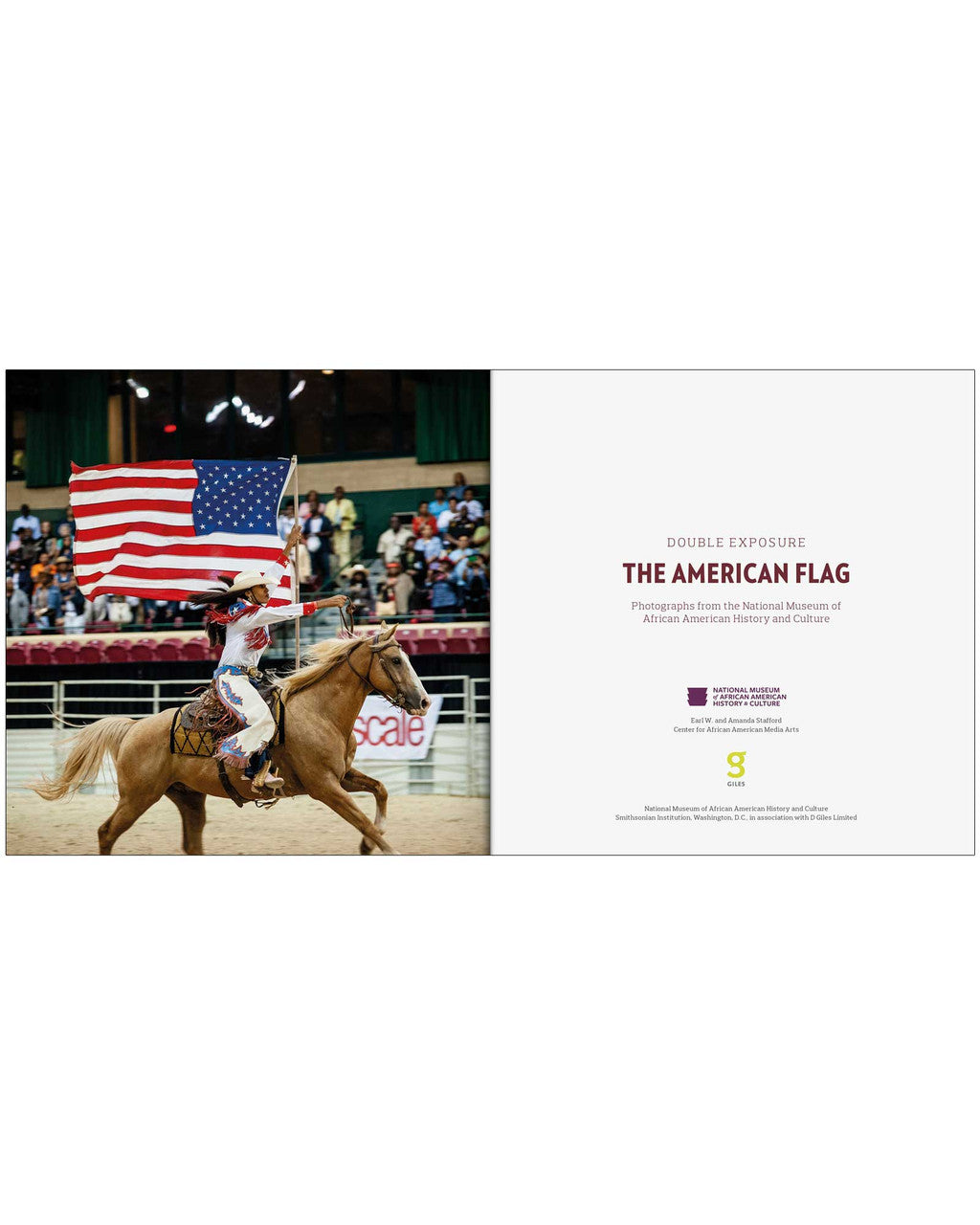 THE AMERICAN FLAG