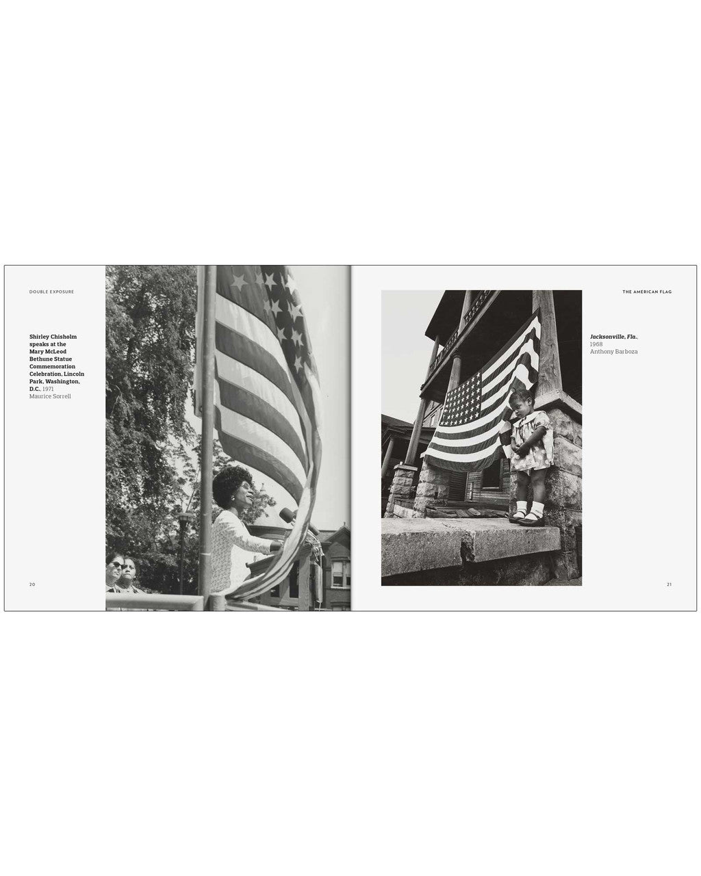 THE AMERICAN FLAG