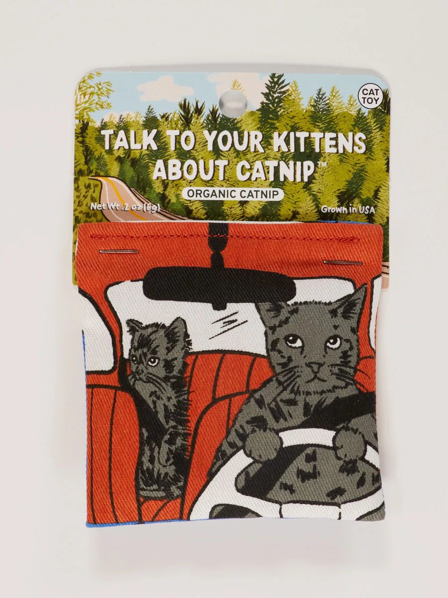 TALK TO YOUR KITTENS CATNIP TOY