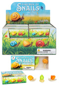 TINY BOX OF SNAILS