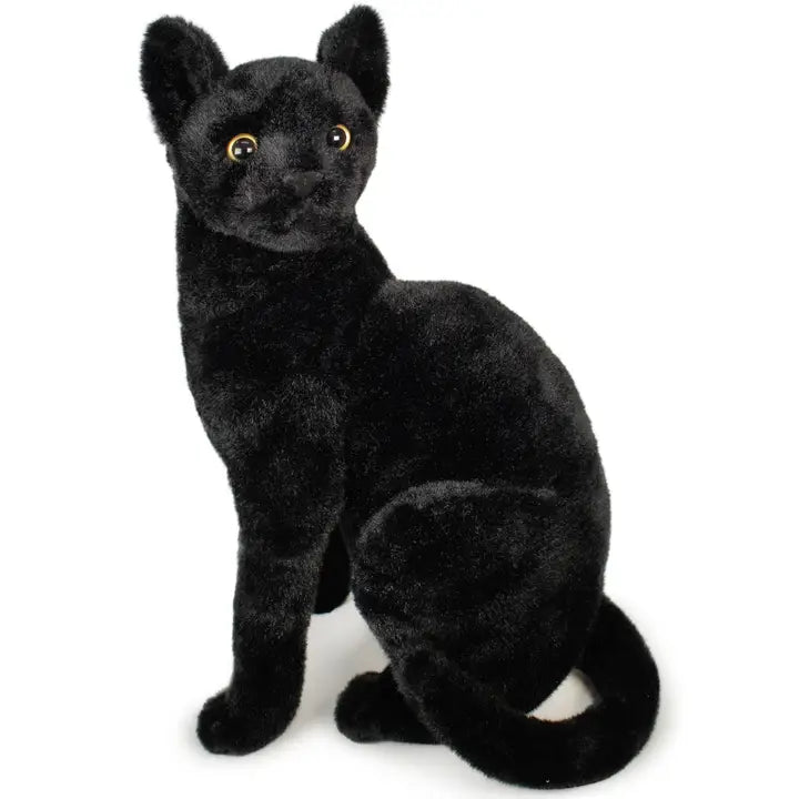 BOONE THE BLACK CAT