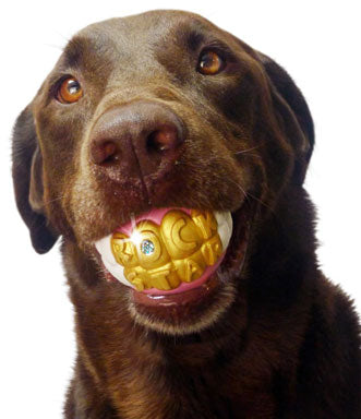 HUMUNGA BLING CHEW TOY
