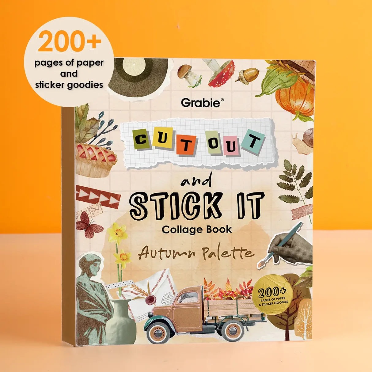 AUTUMN PALETTE COLLAGE ACTIVITY BOOK
