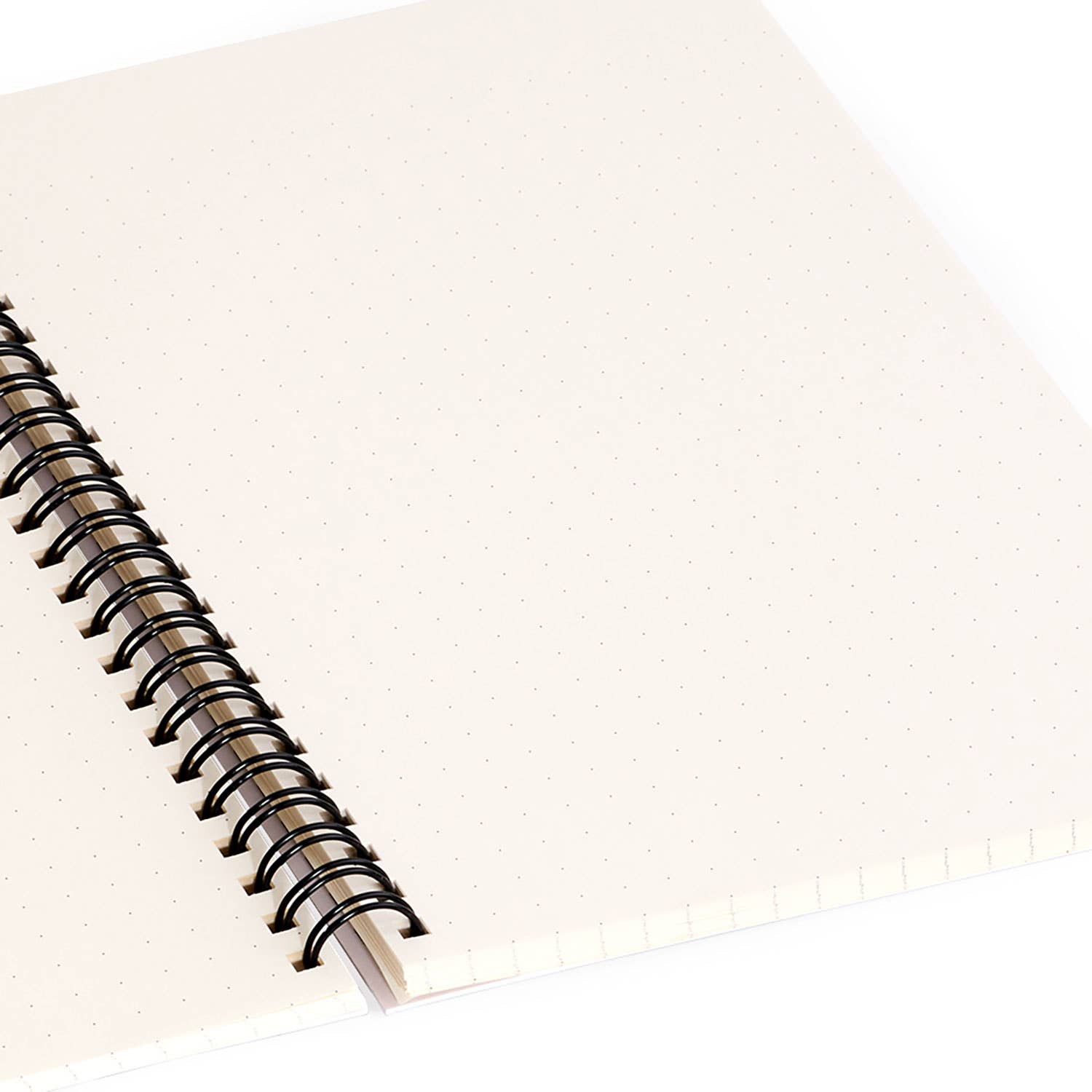 DOODLE BY MEG RAINBOW PICKLEBALL PADDLES SPIRAL NOTEBOOK