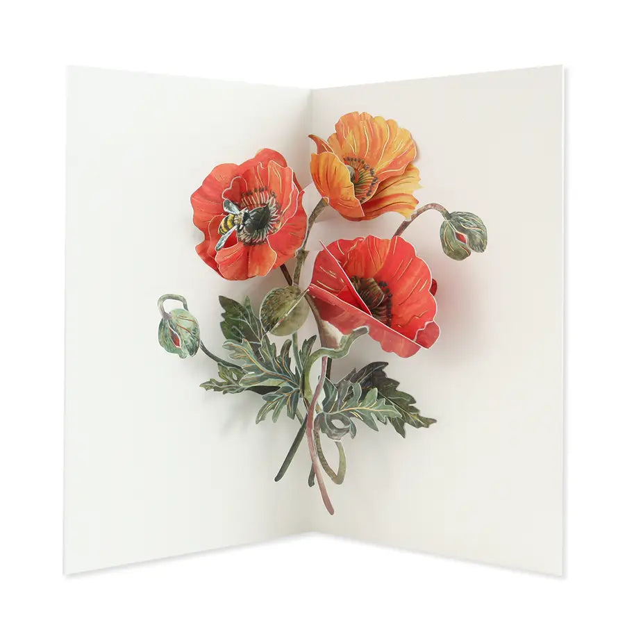 POPPIES EVERYDAY POP-UP CARD
