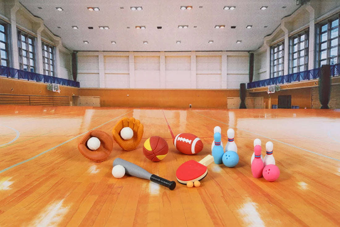 IWAKO SPORTS ERASER