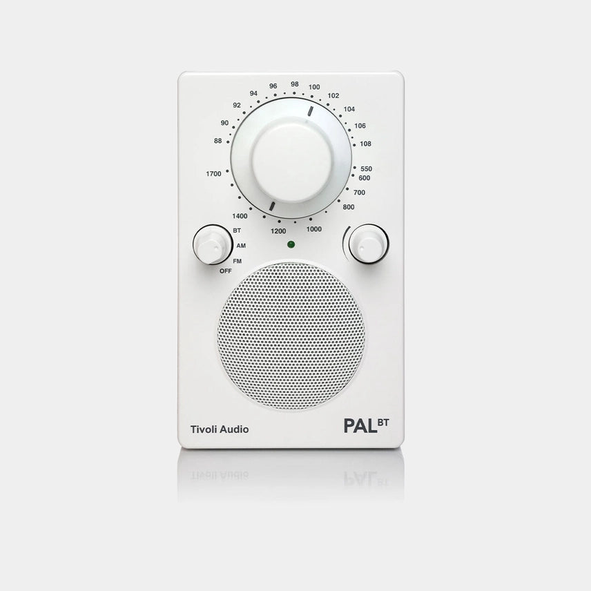 PAL BT PORTABLE WEATHER-RESISTANT SPEAKER