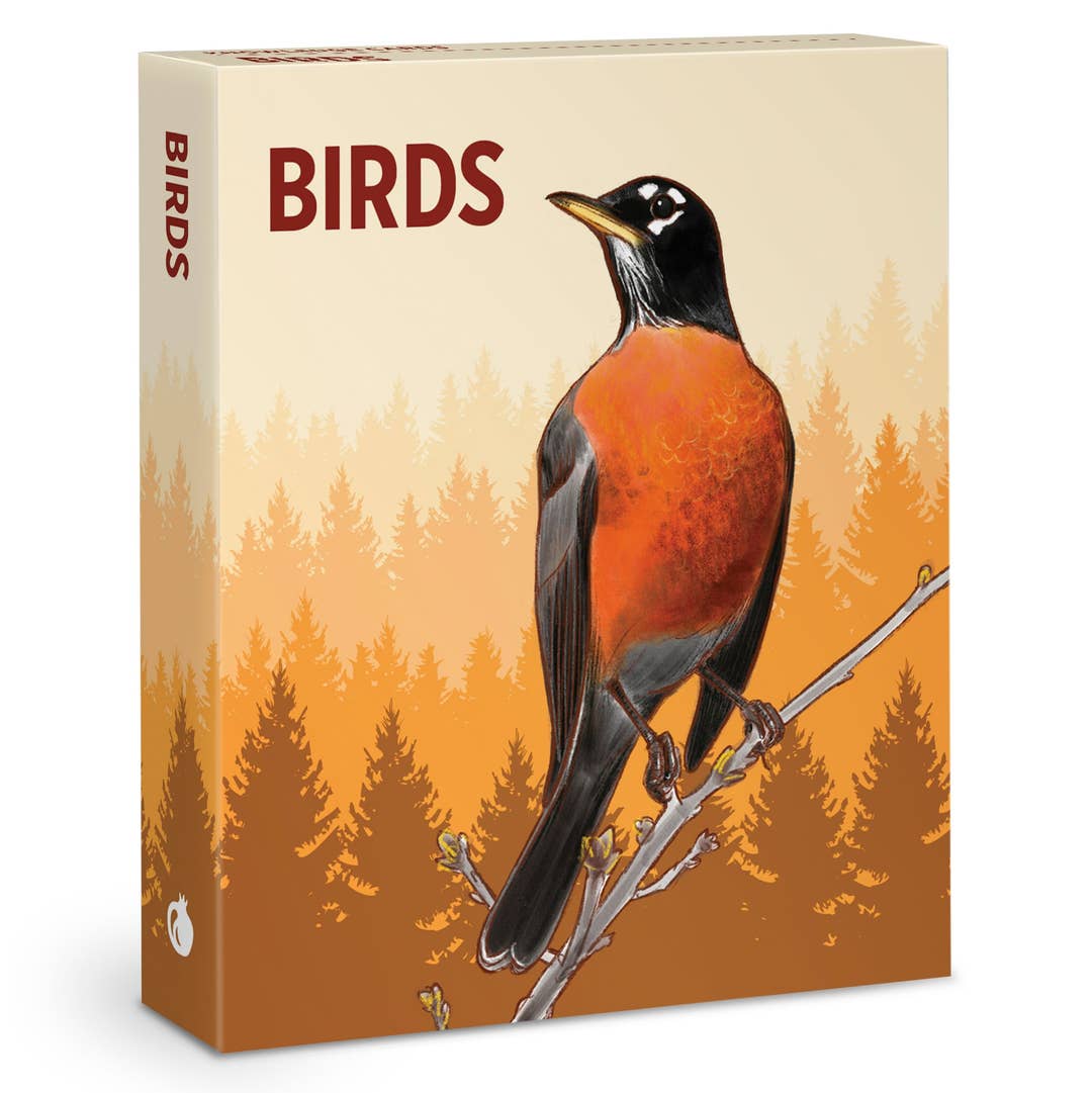 BIRDS KNOWLEDGE CARDS