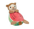 OTTER MELON MACAROON