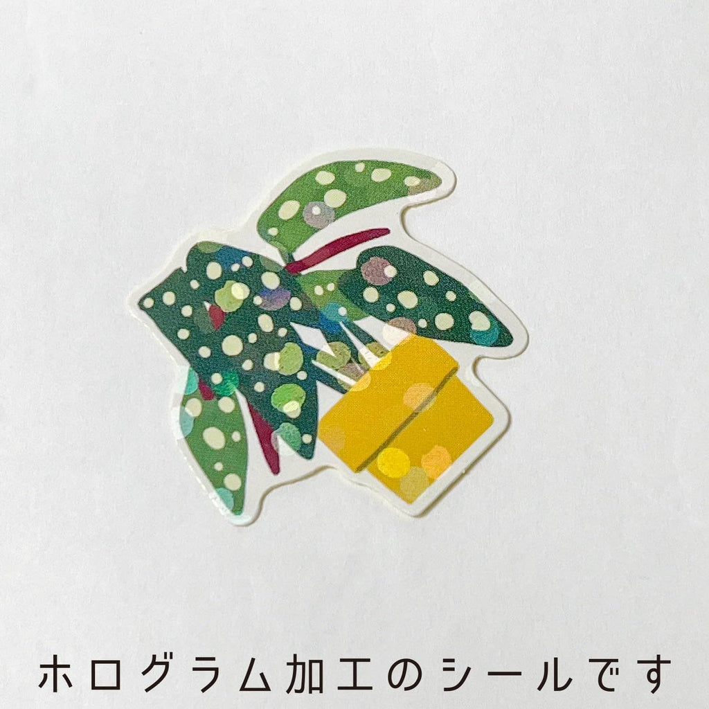 HAKO STICKER GREEN PLANT BOX