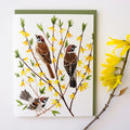 SPARROWS AND FORSYTHIA GREETING CARD