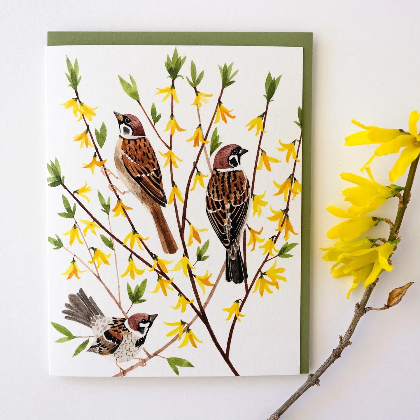 SPARROWS AND FORSYTHIA GREETING CARD