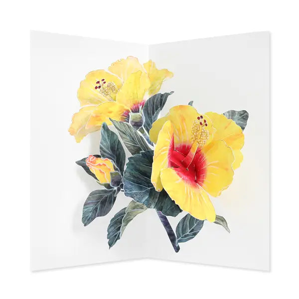 HIBISCUS EVERYDAY POP-UP CARD