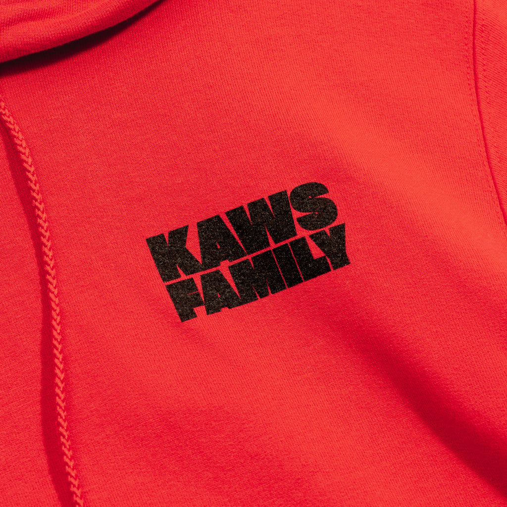 KAWS FAMILY HOODED SWEATSHIRT