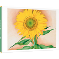 GEORGIA O'KEEFFE: A SUNFLOWER FROM MAGGIE SMALL BOXED NOTECARDS