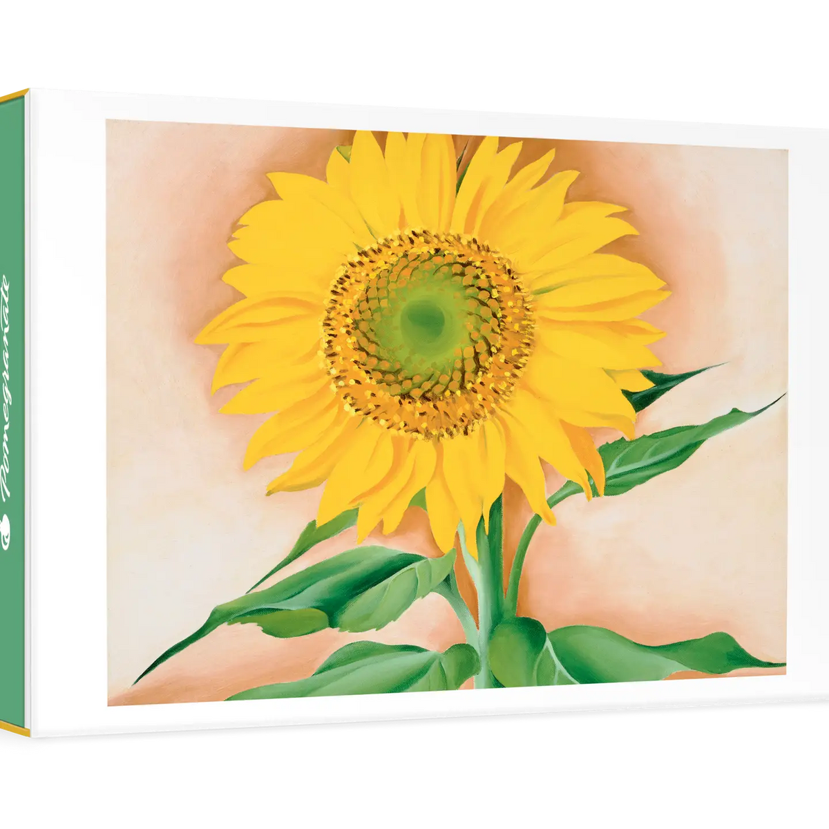 GEORGIA O'KEEFFE: A SUNFLOWER FROM MAGGIE SMALL BOXED NOTECARDS