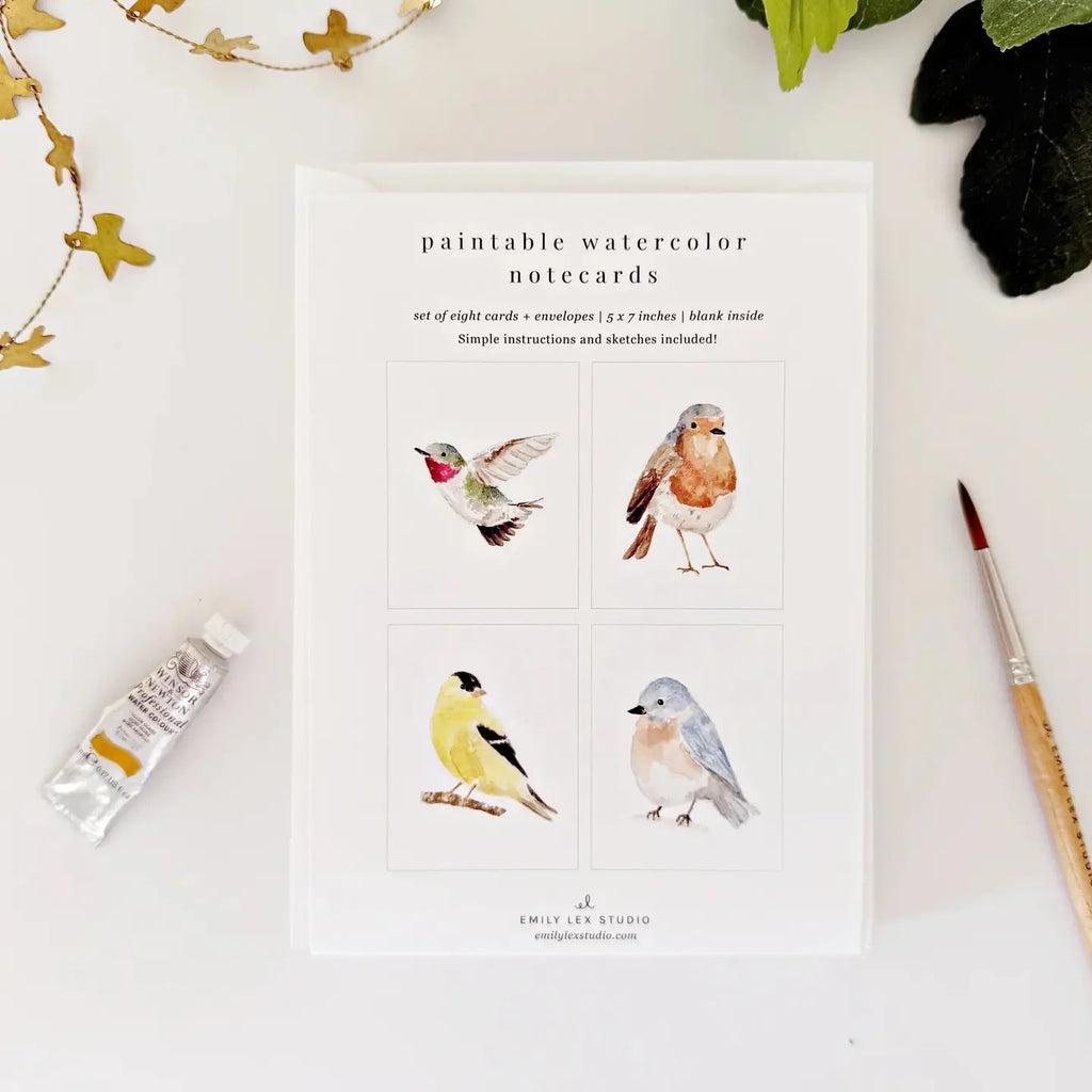 BIRDS PAINTABLE WATERCOLOR NOTECARD SET
