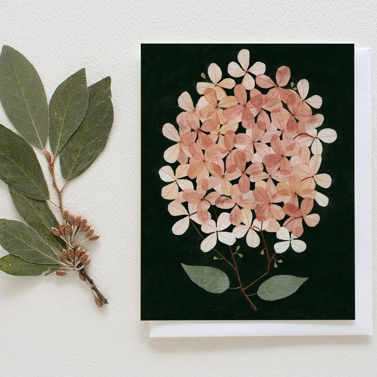 PRESSED HYDRANGEA GREETING CARD