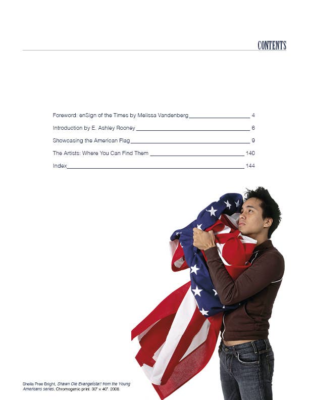 STARS & STRIPES: THE AMERICAN FLAG IN CONTEMPORARY ART