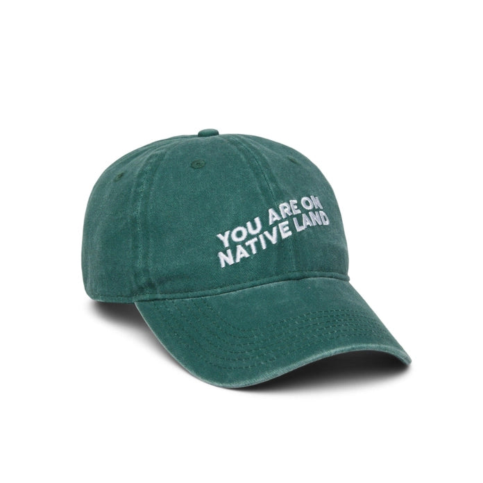 YOU ARE ON NATIVE LAND DAD CAP