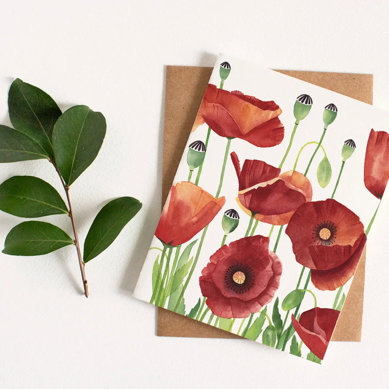 POPPIES GREETING CARD
