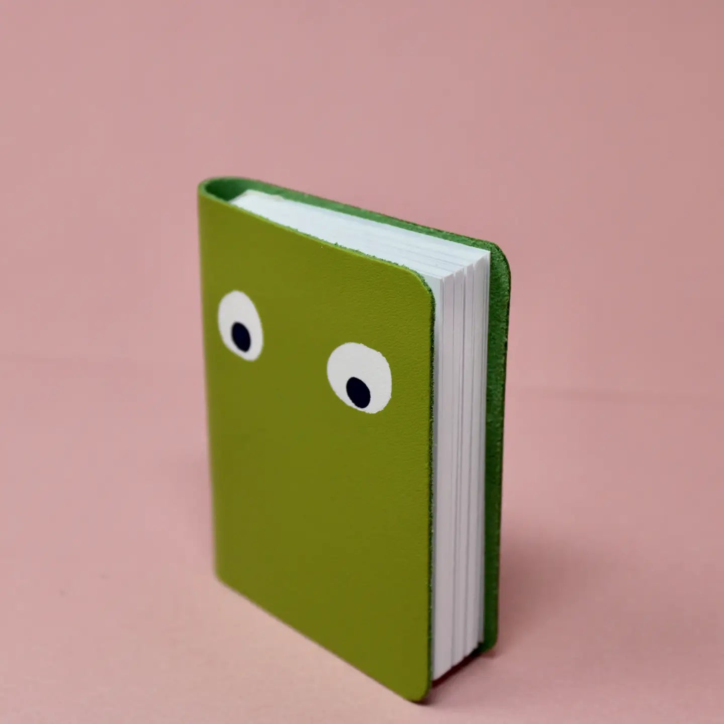 GOOGLY EYE MINI LEATHER NOTEBOOK