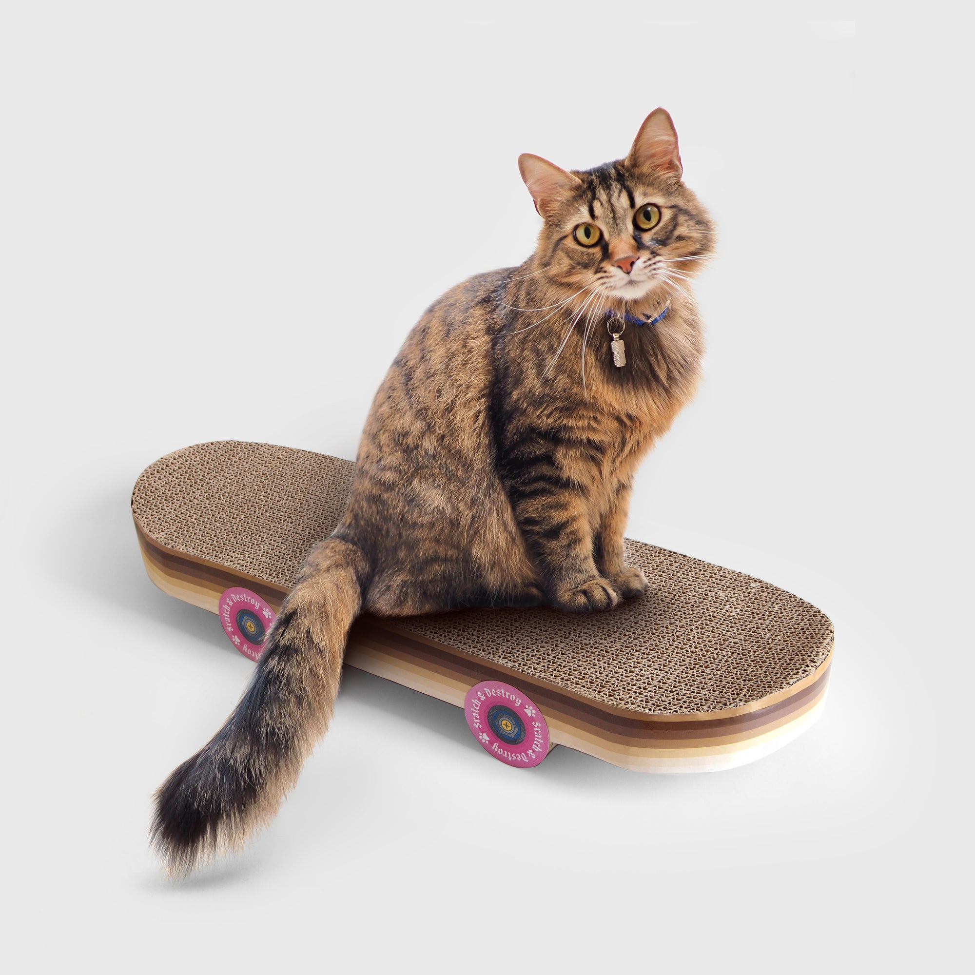 SKATEBOARD CAT SCRATCHER