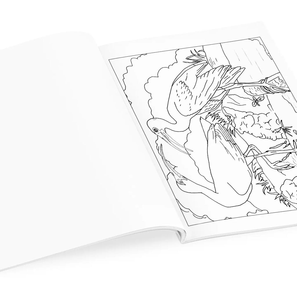 JOHN JAMES AUDUBON BIRDS: COLORING BOOK