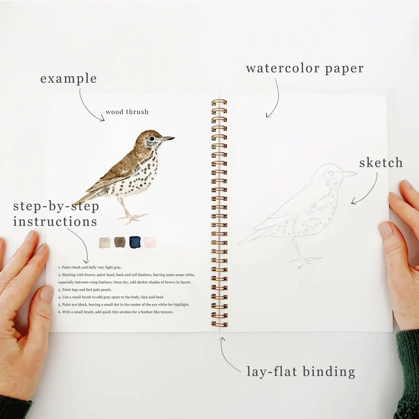 BIRDS WATERCOLOR WORKBOOK