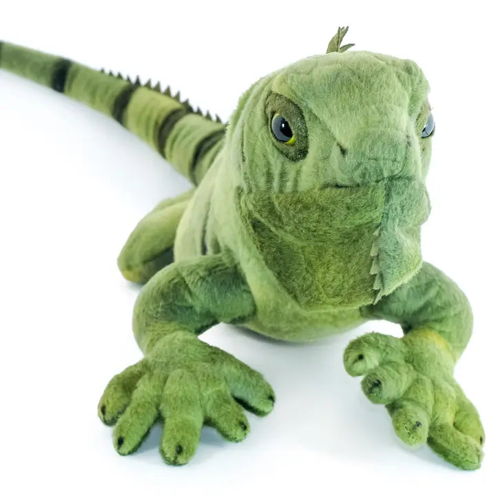 IGOR THE IGUANA